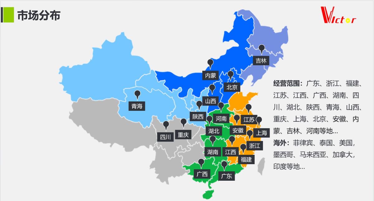 國內(nèi)市場(chǎng)